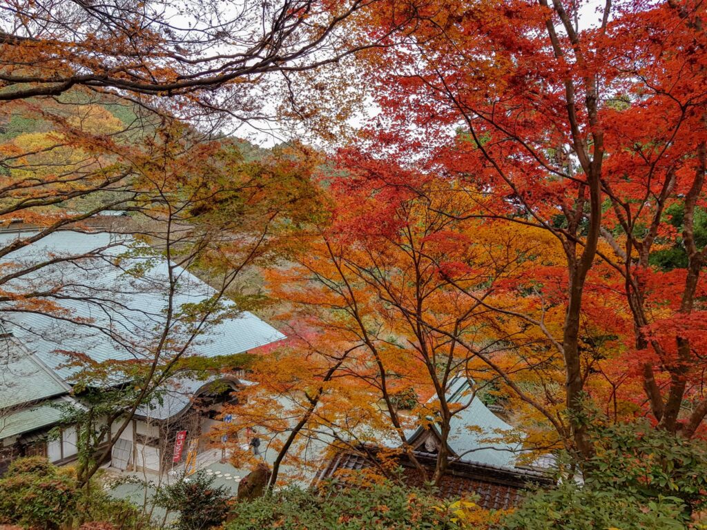 Temple autumn